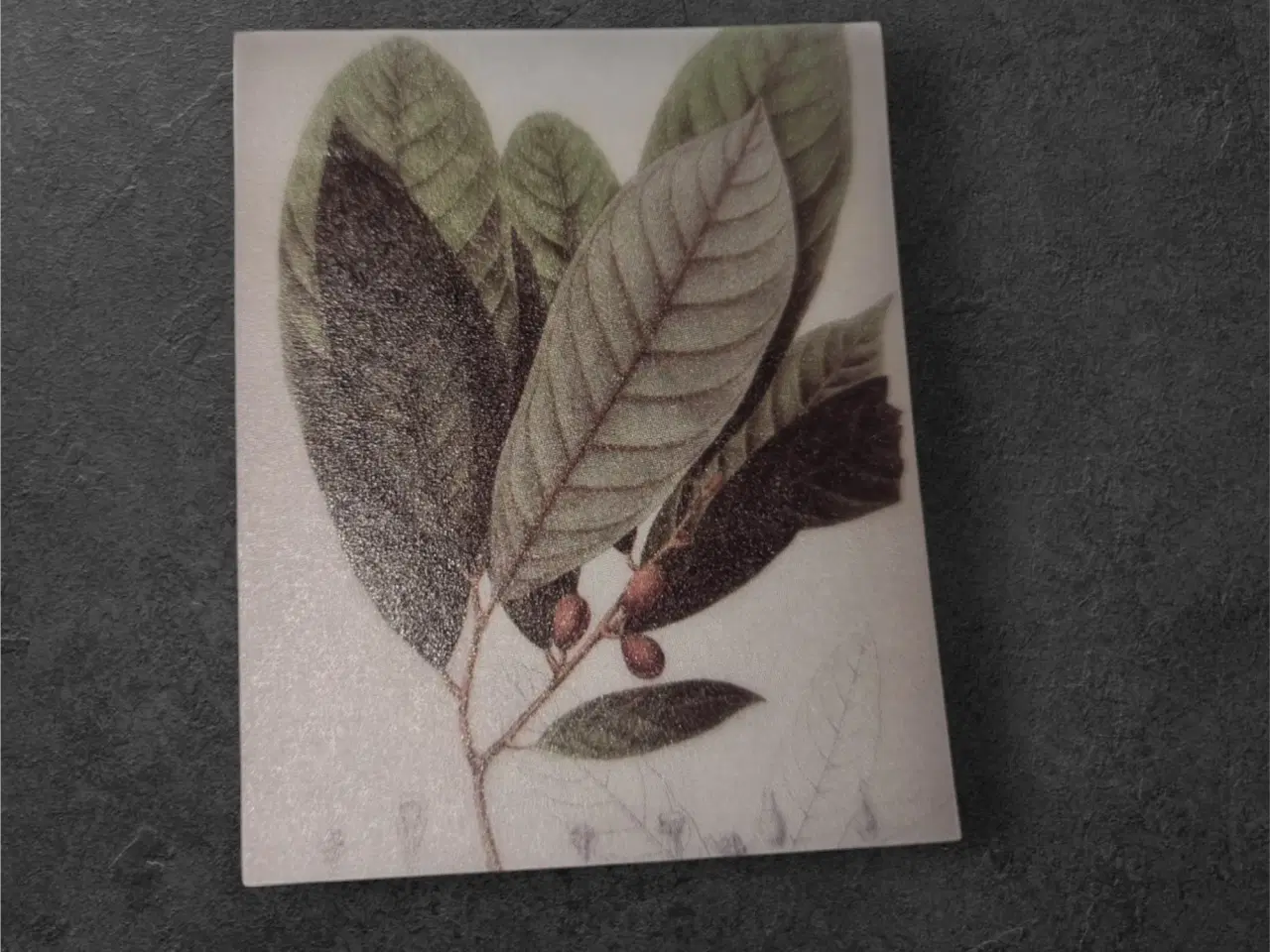 Billede 1 - Papirark med grønne blade og røde bær Tilføj et na