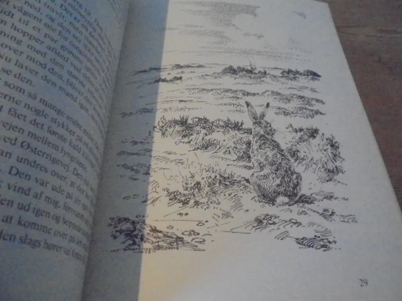 Billede 4 - Borris hede – se fotos og omtale