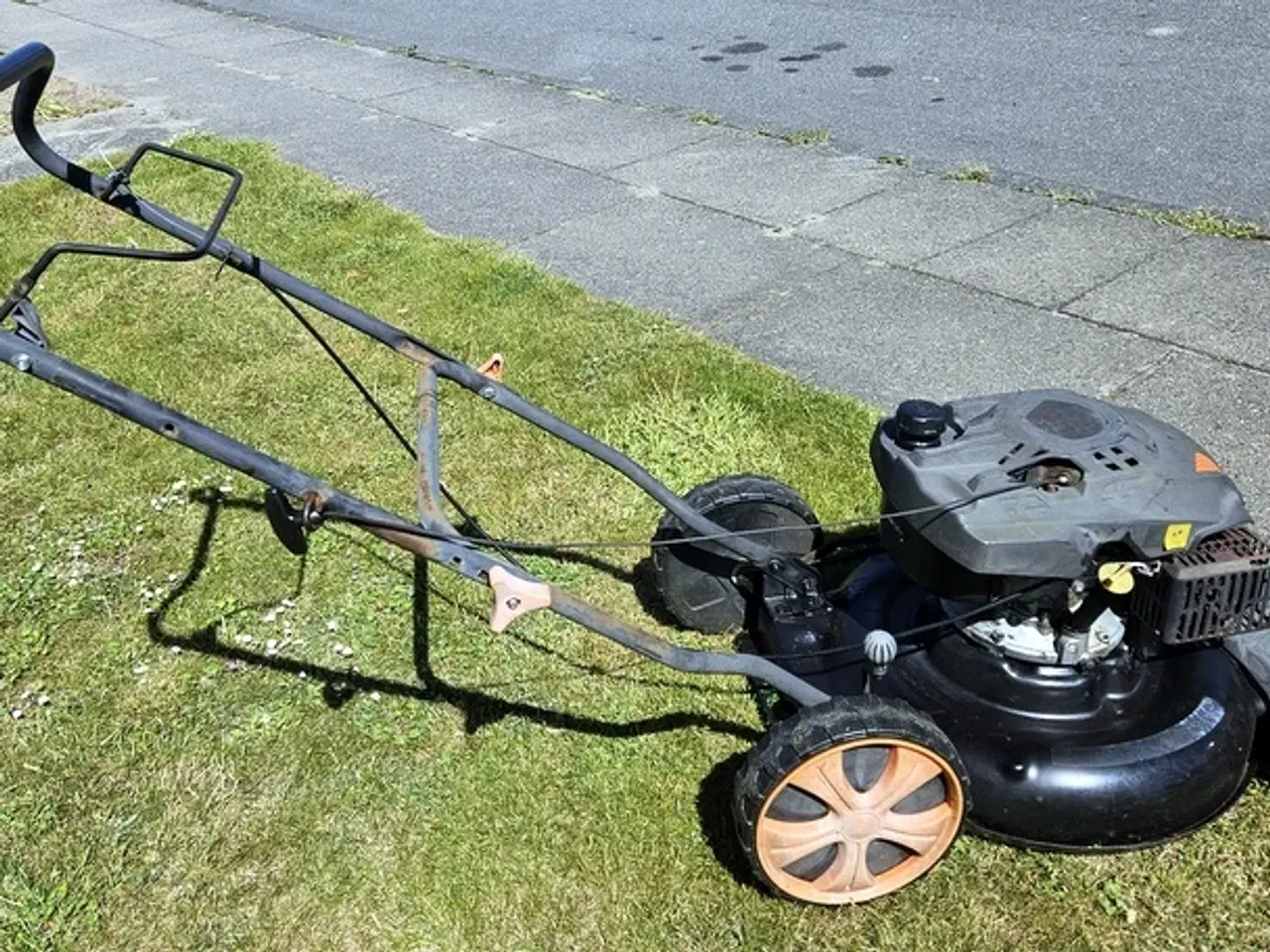 Billede 1 - Bioklipper