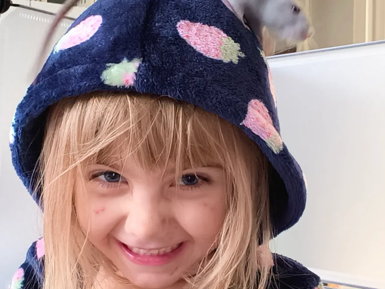 Billede 13 - Rotte piger søger nyt hjem 