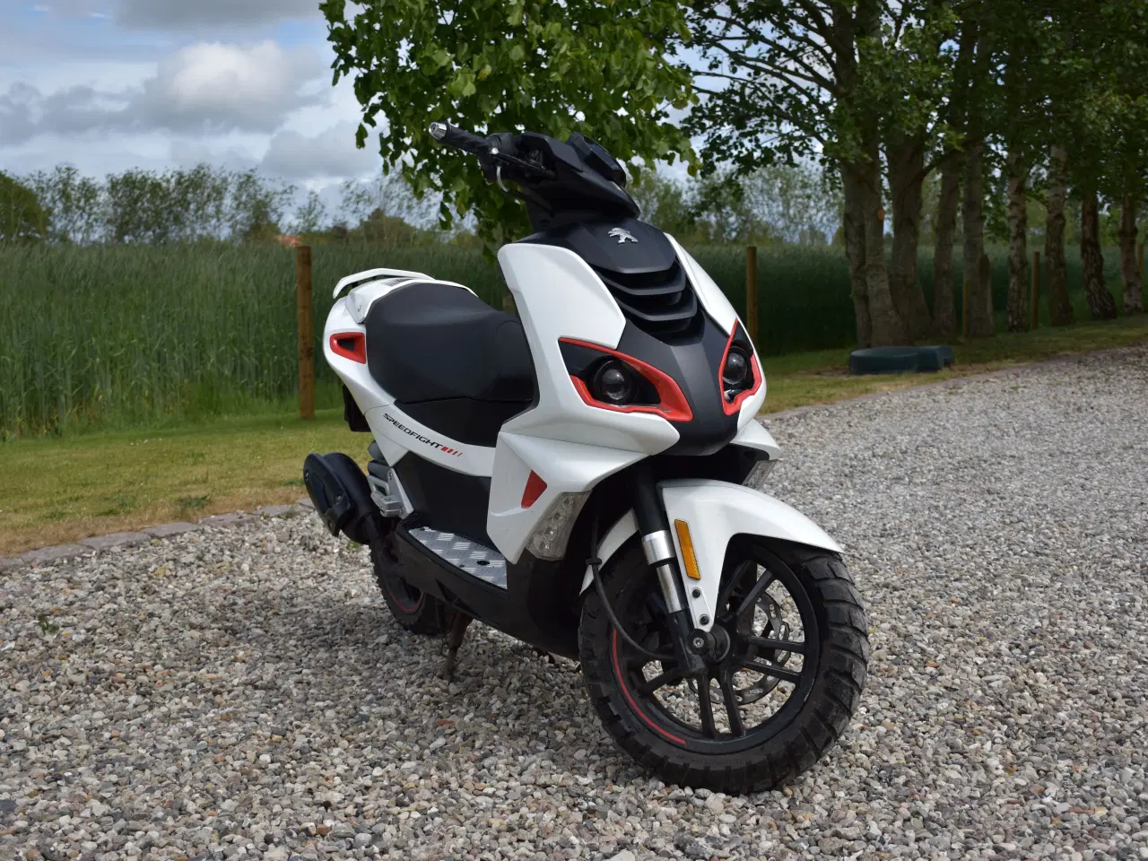 Billede 5 - PEUGEOT SPEEDFIGHT 3