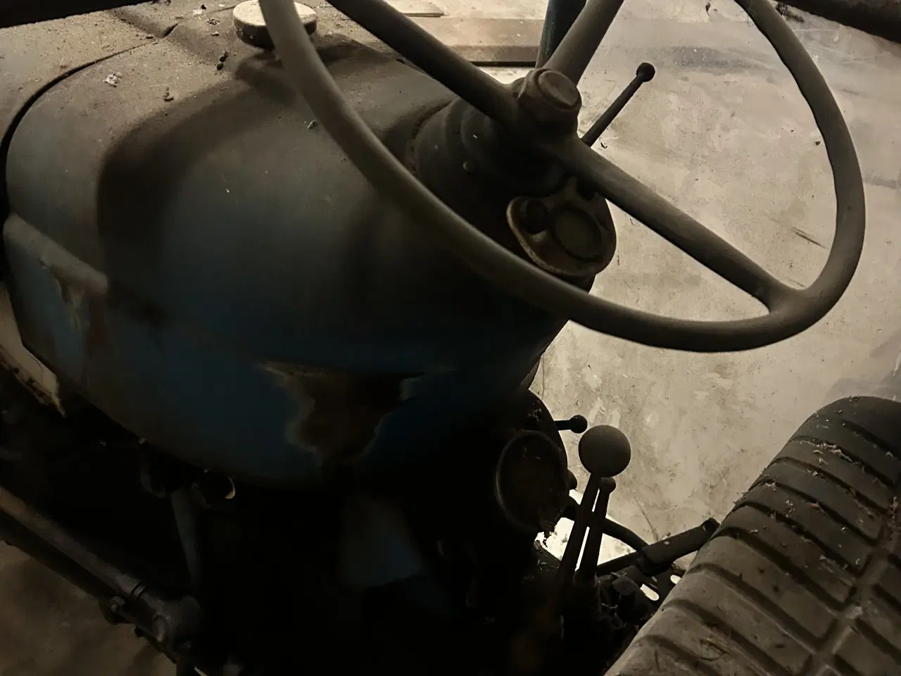 Billede 4 - Dexta - med mange gode minder