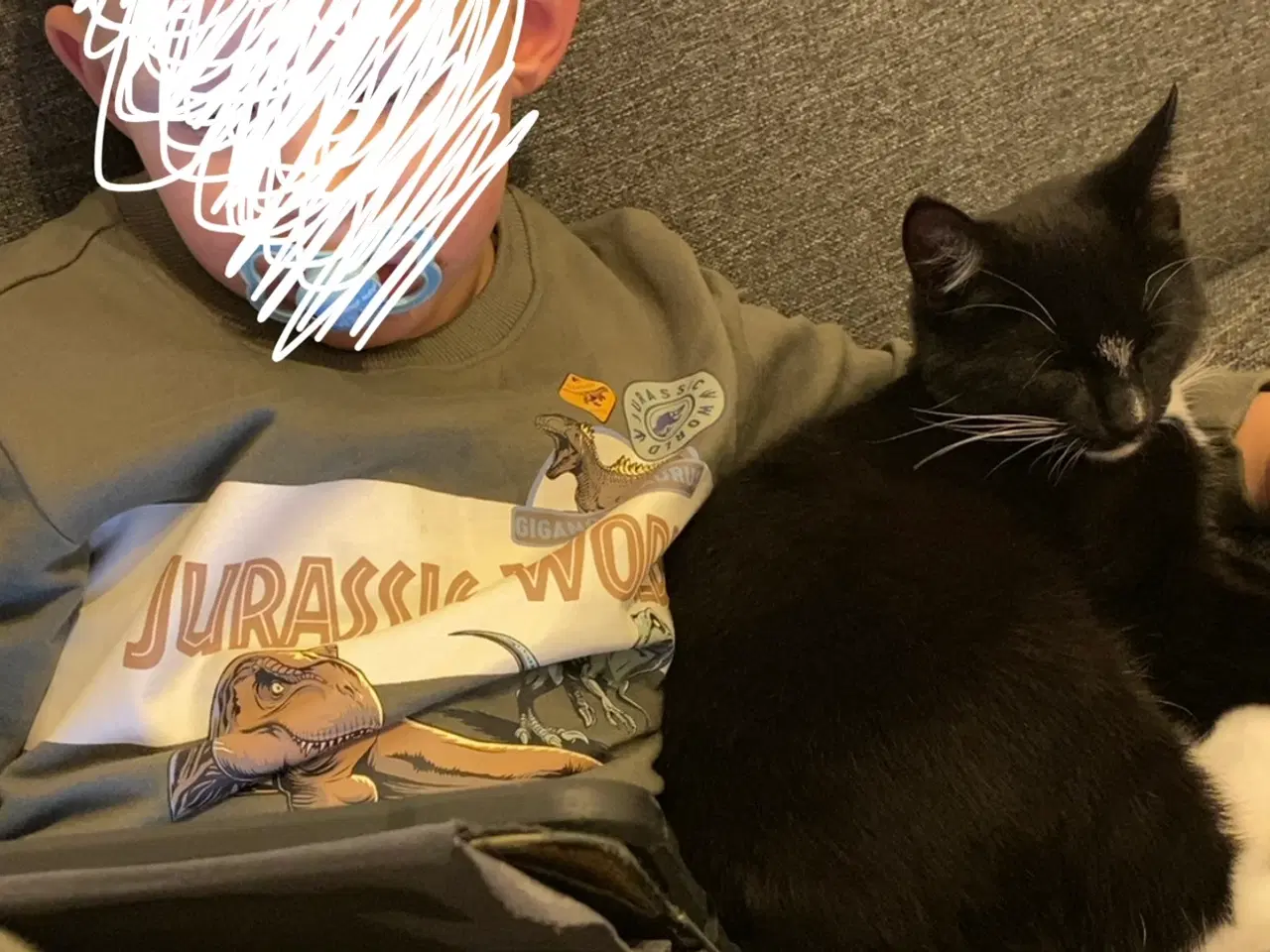 Billede 2 - Pelle søger kærligt hjem