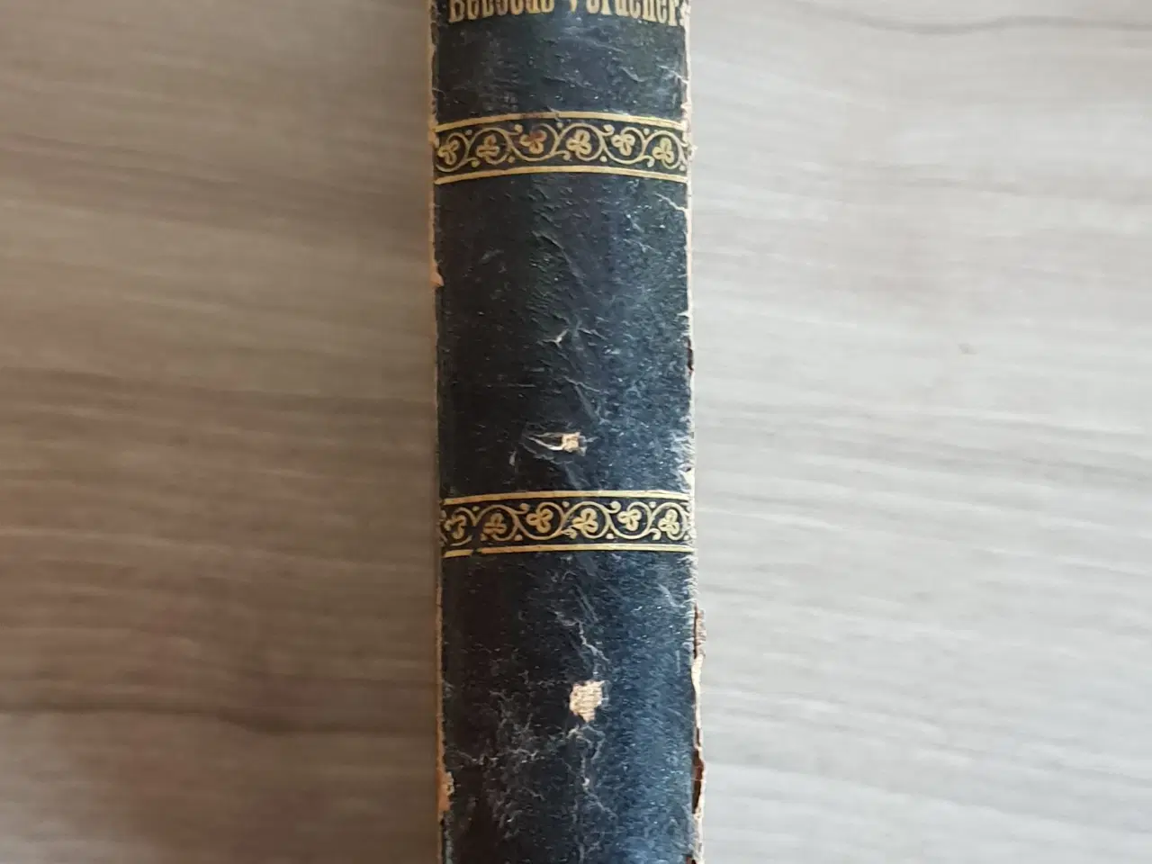 Billede 1 - År 1875 - Camille Flammarion: Beboede verdener