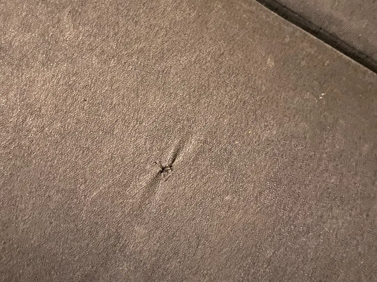 Billede 5 - Sofa byttes til en anden sofa 