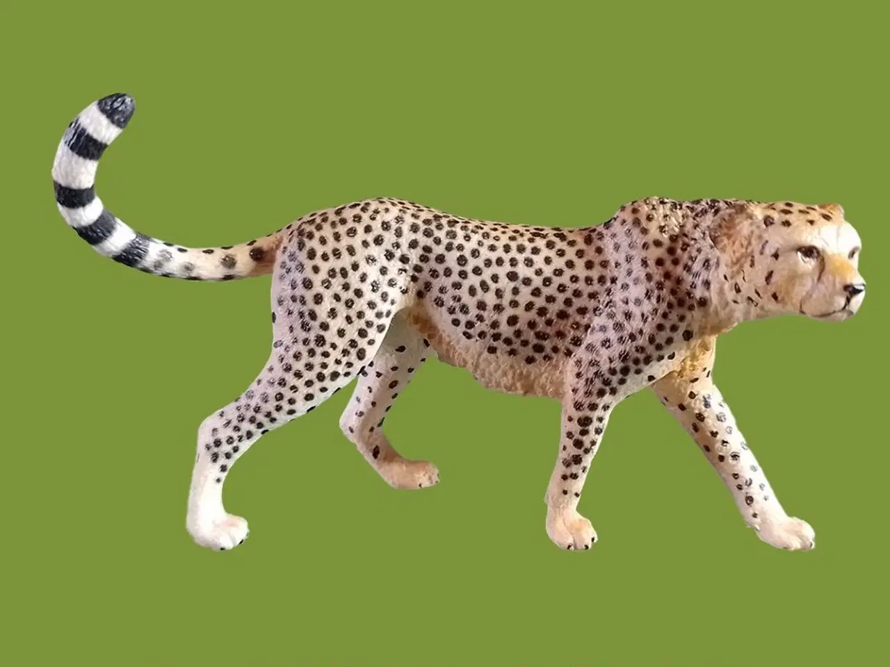 Billede 1 - Schleich 14746 Cheetah Female (2016)