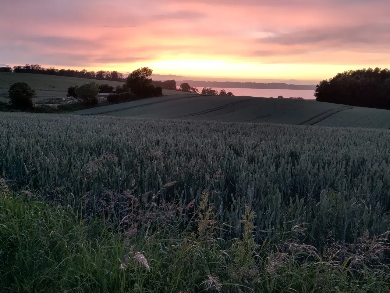Billede 18 - Smukt hus til salg i naturskønne omgivelser