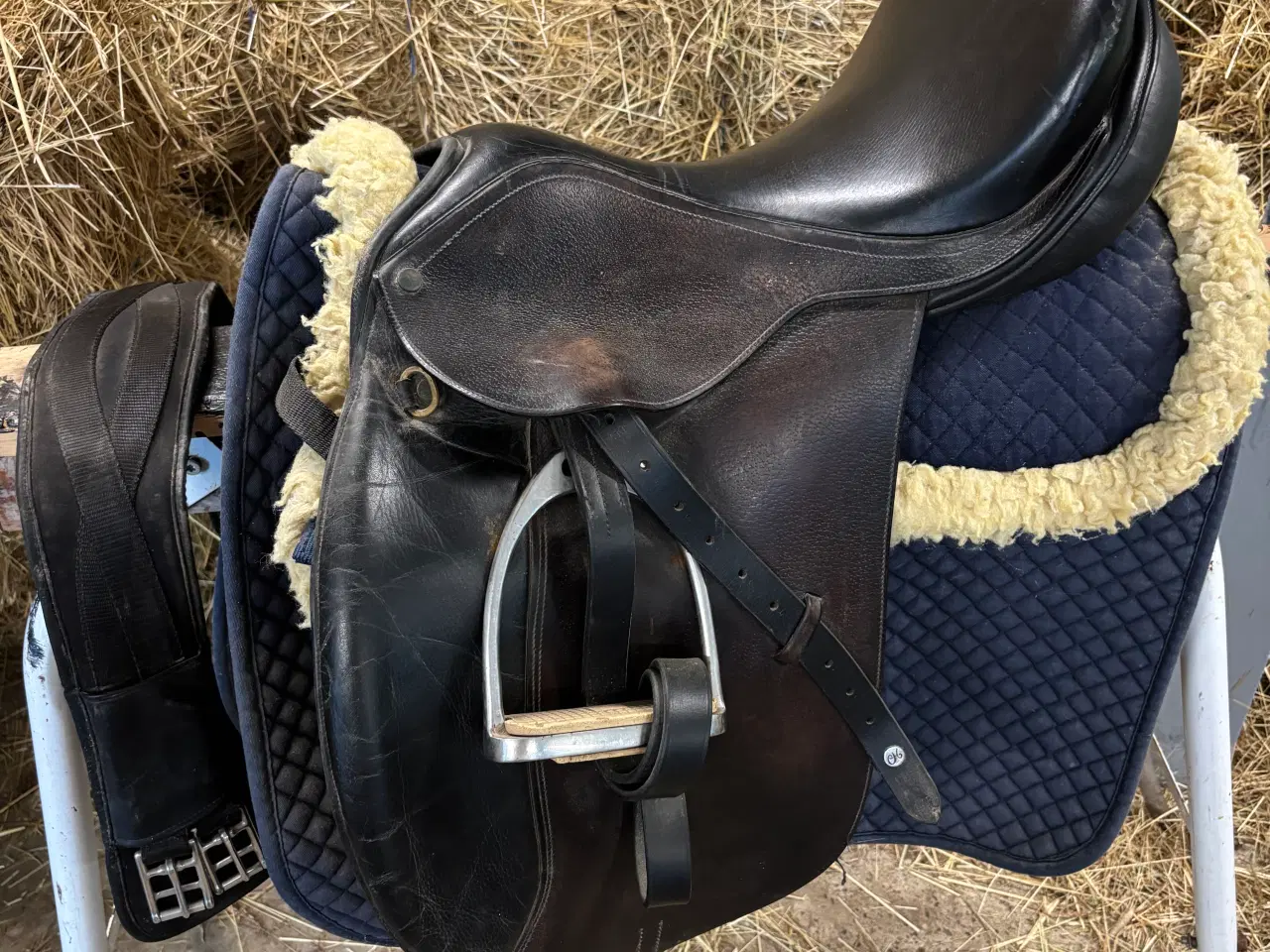 Billede 1 - 17” dressur sadel, samt trense str. full