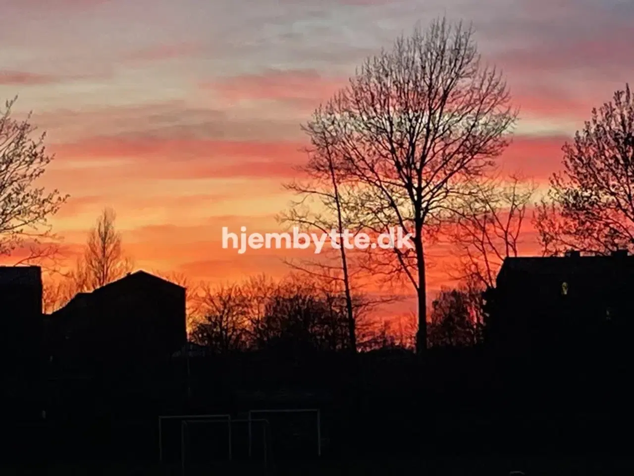 Billede 9 - Hjembytte - Malurthaven