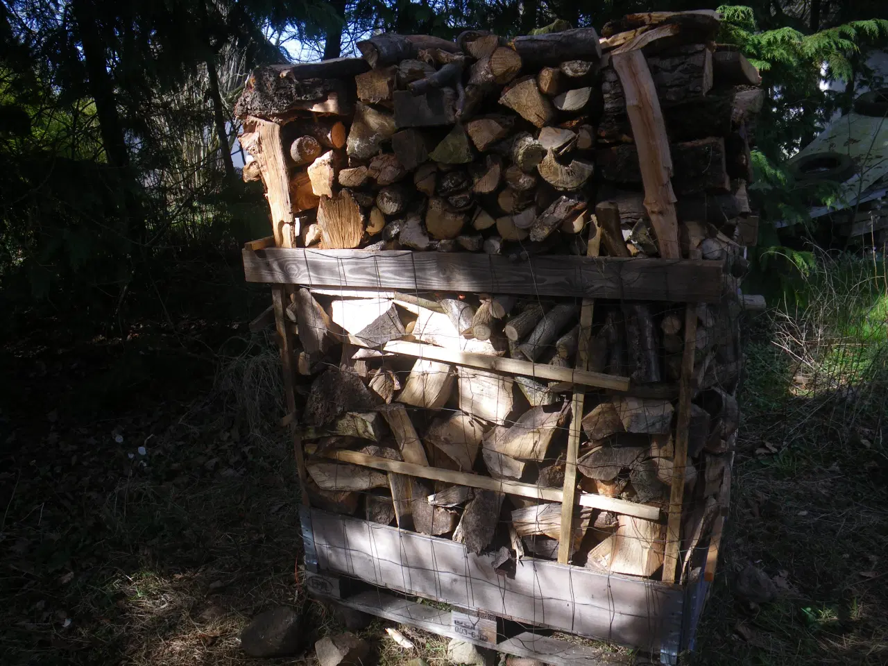 Billede 2 - Brændetræ