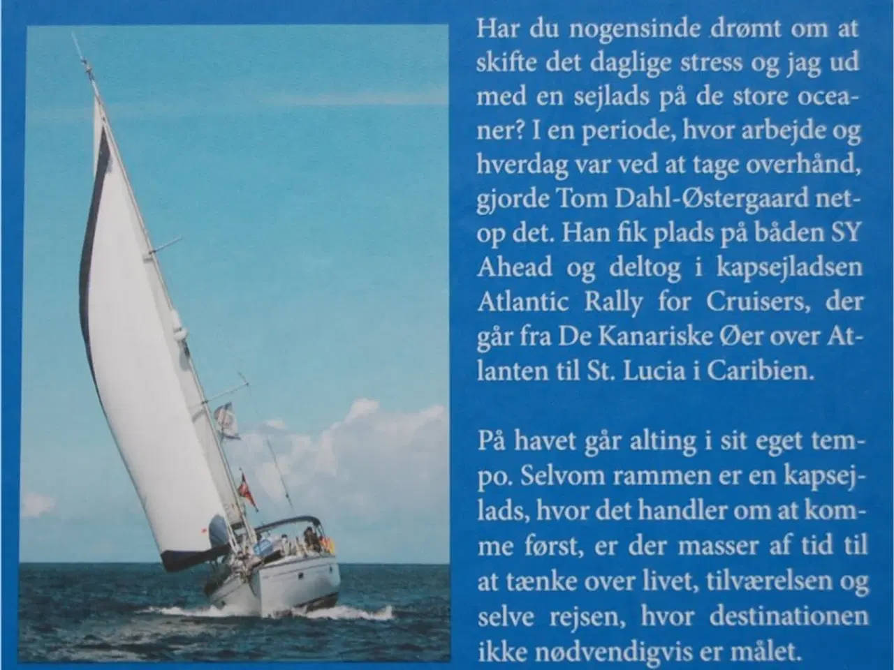 Billede 3 - DORADOER & DELFINER – Kapsejlads over Atlanten