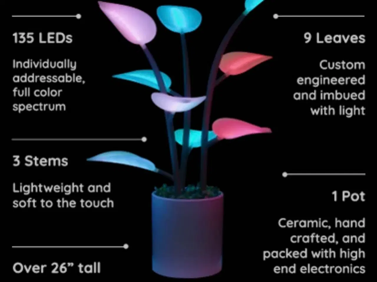 Billede 3 - Fluora led plante 