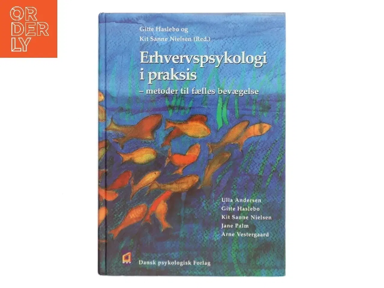 Billede 1 - Erhvervspsykologi i praksis : metoder til fælles bevægelse (Bog)