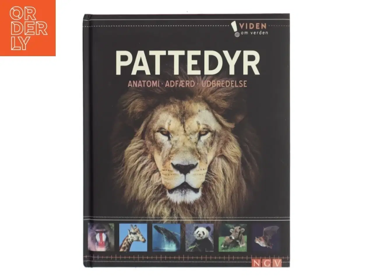 Billede 1 - Pattedyr (Bog)