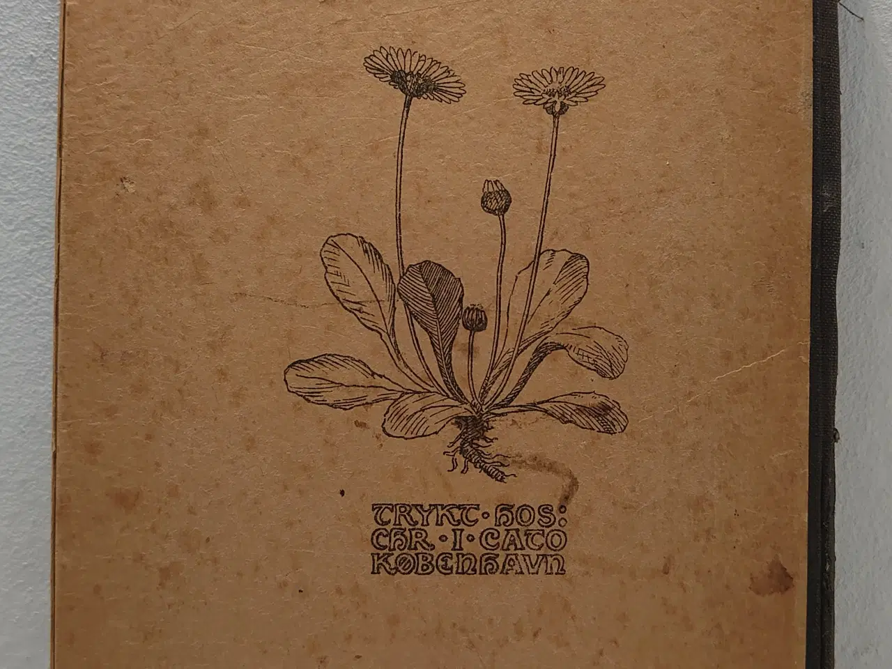 Billede 2 - J. E. Lange: Vilde Planter i Have,Paa Mark og Eng.