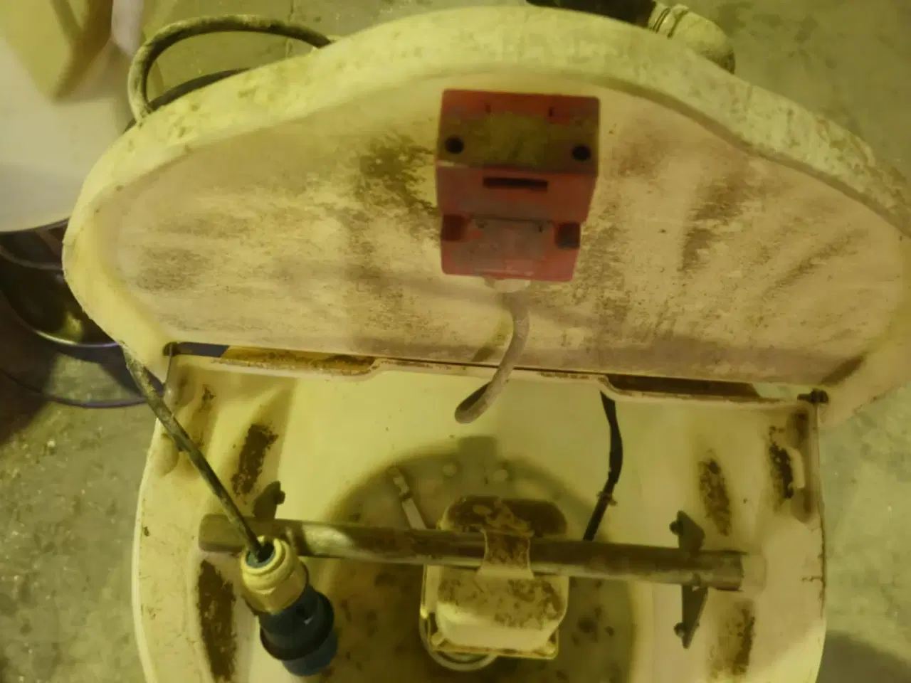 Billede 20 - DLG First Feeder