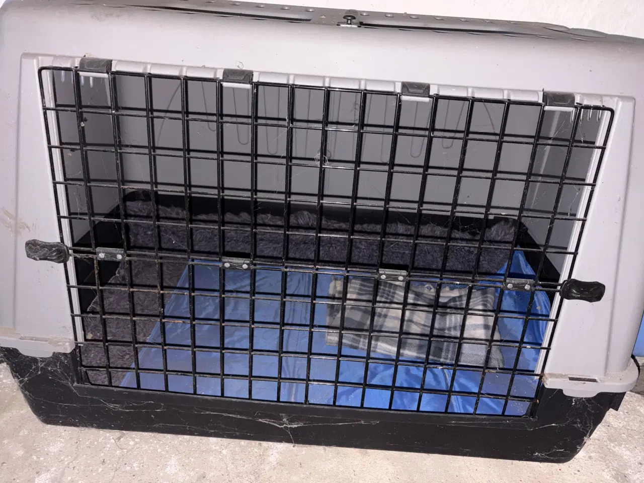 Billede 2 - Hundetransport boks stor