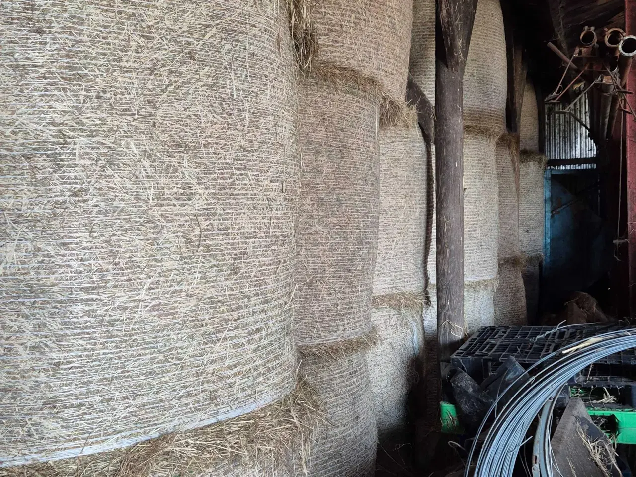 Billede 1 - Heste hø i rundballer 2025