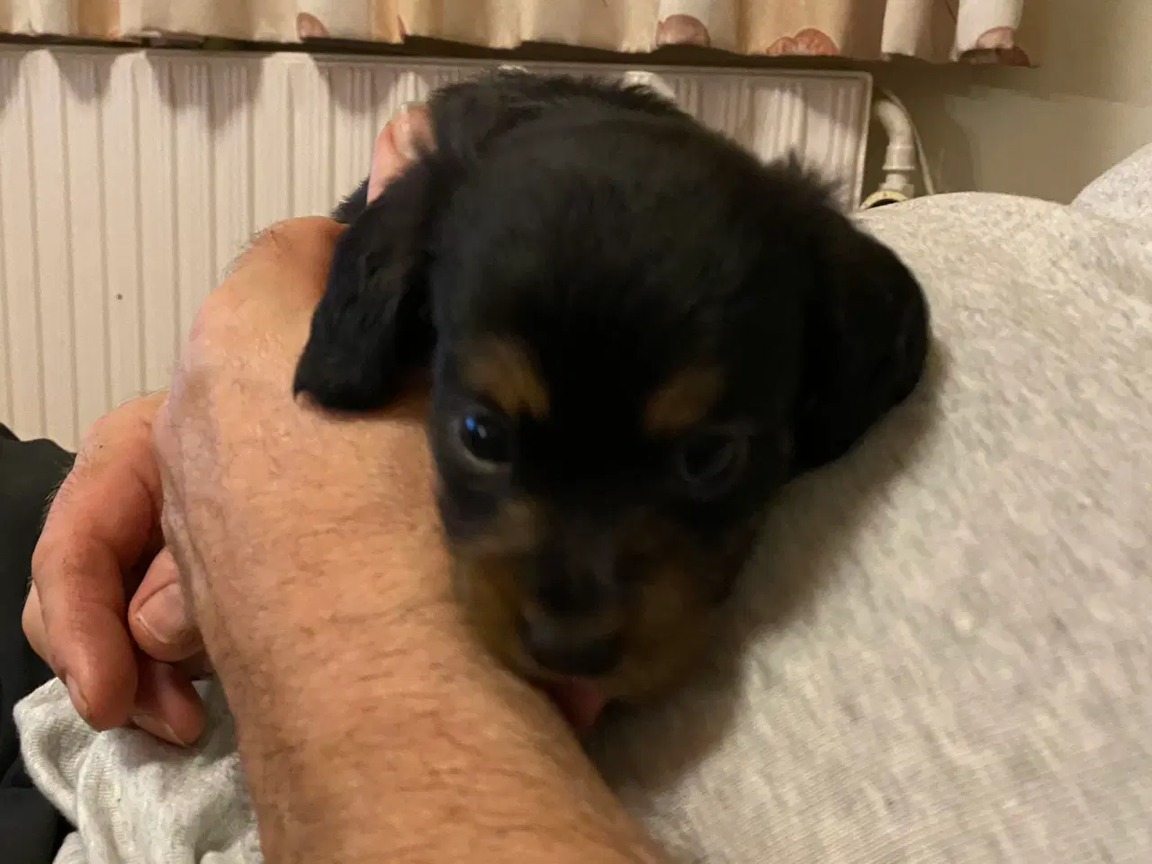 Billede 6 - 1 lille dreng tilbage 