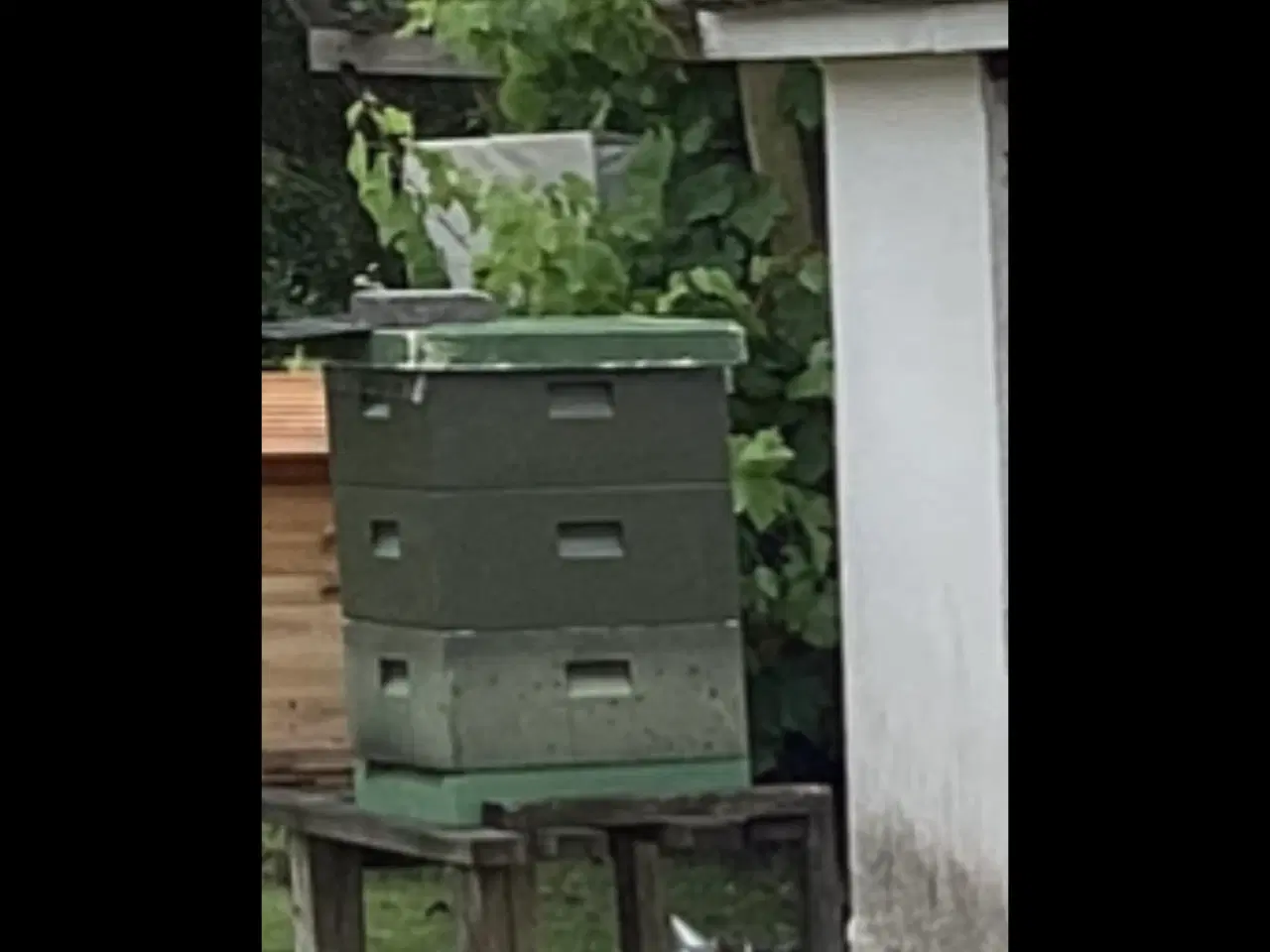 Billede 2 - bisteder LR. Brugte bistader uden bier. 