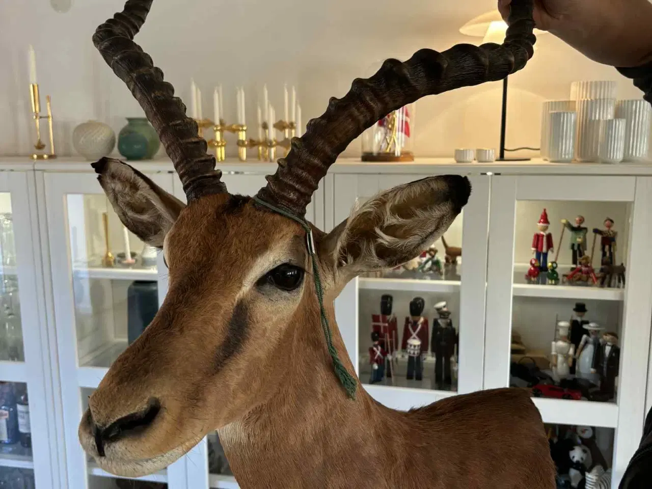 Billede 6 - Udstoppet / halsmonteret dyr