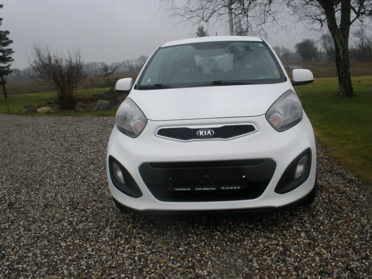 Billede 2 - Kia Picanto 1,0I 5 dørs