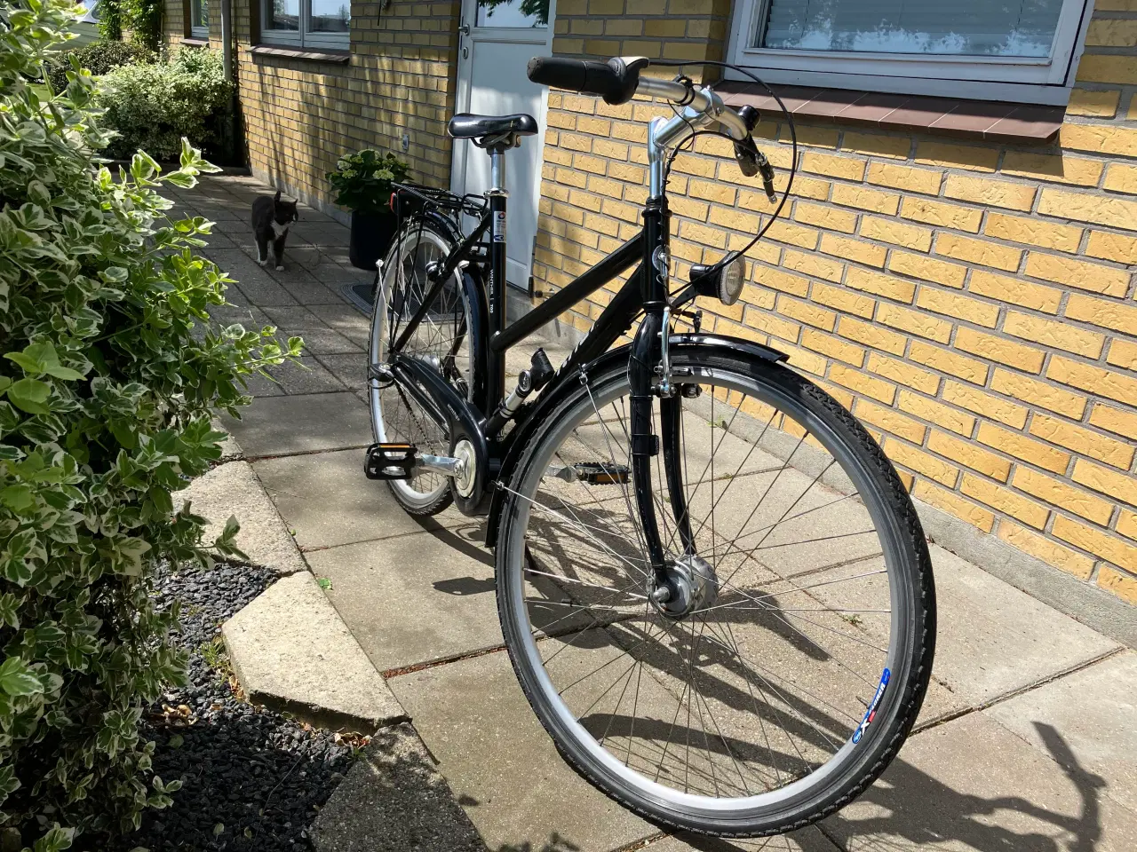 Billede 1 - Winter cykel 