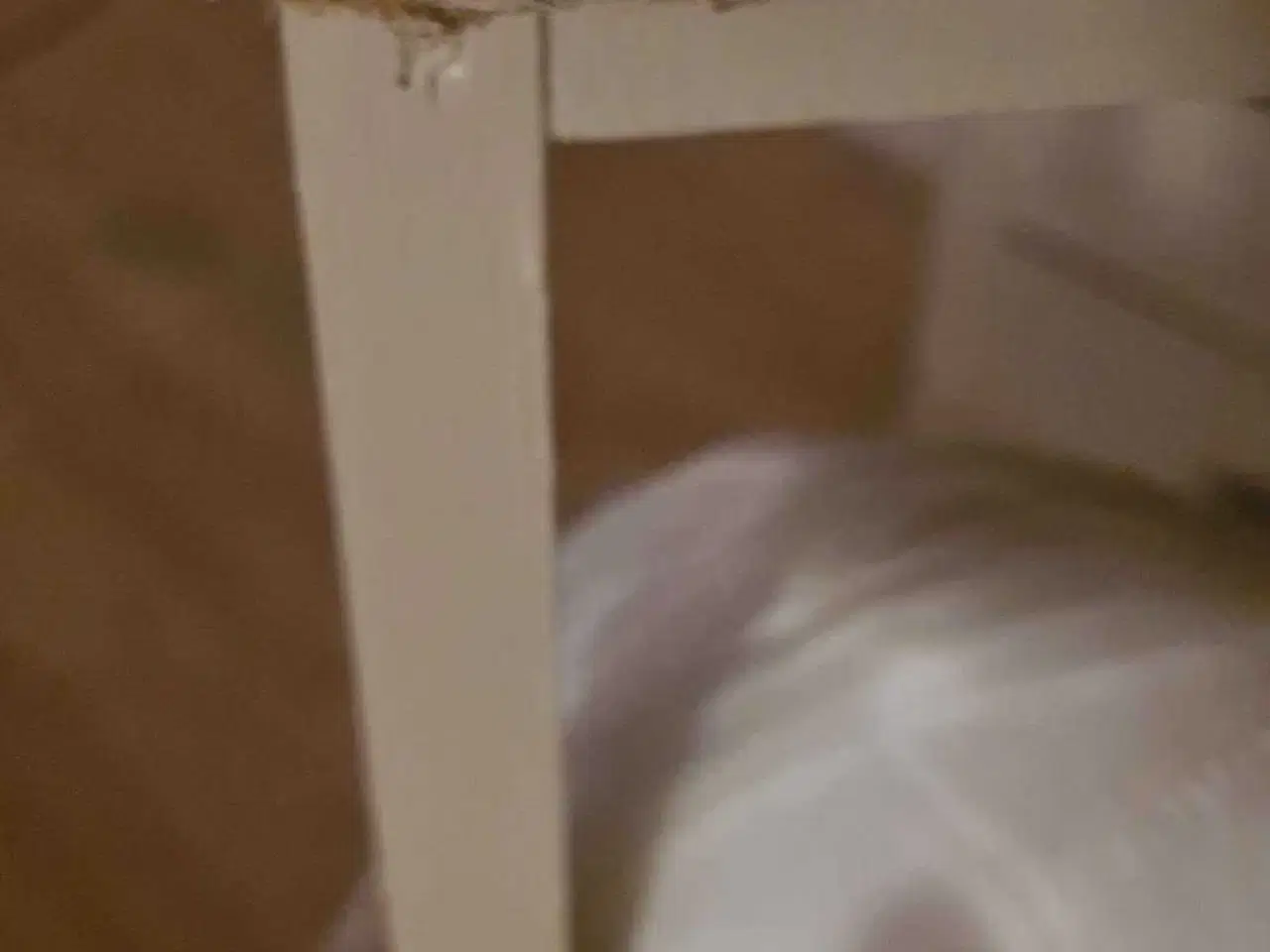 Billede 5 - Kæphest med stald 