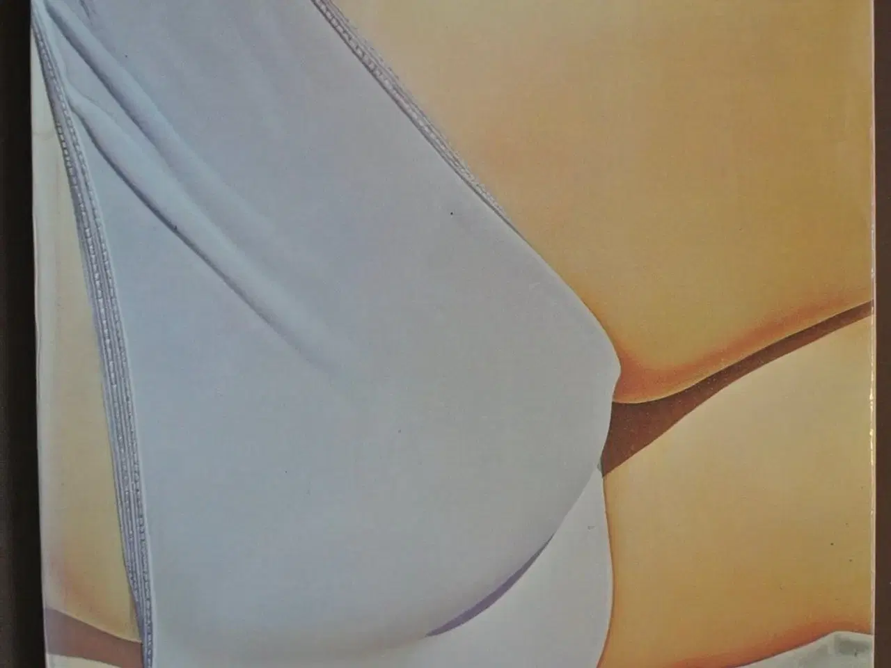 Billede 1 - hyperrealism, by linda chase emne: kunst og kultur