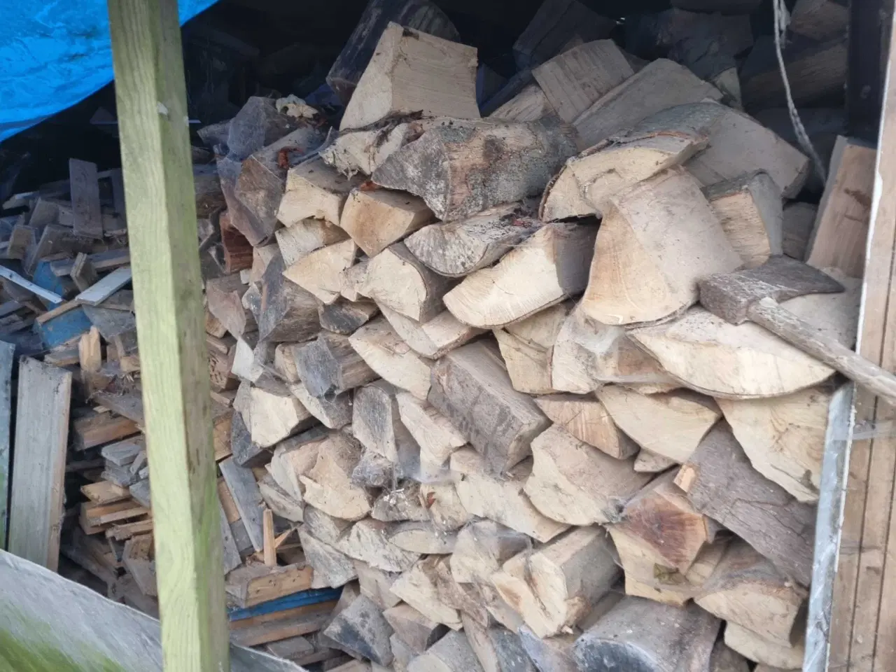 Billede 1 - Tørt bøgebrænde 