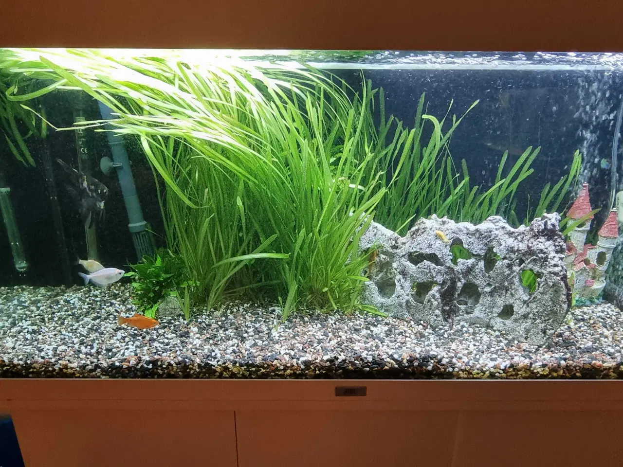 Billede 2 - Juwel 180 liter akvarie med underskab og fuld setu