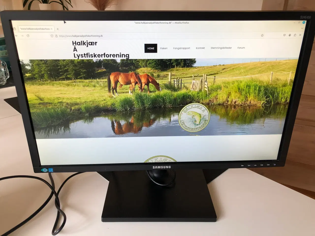 Billede 1 - Samsung 24 " S24E450 skærm