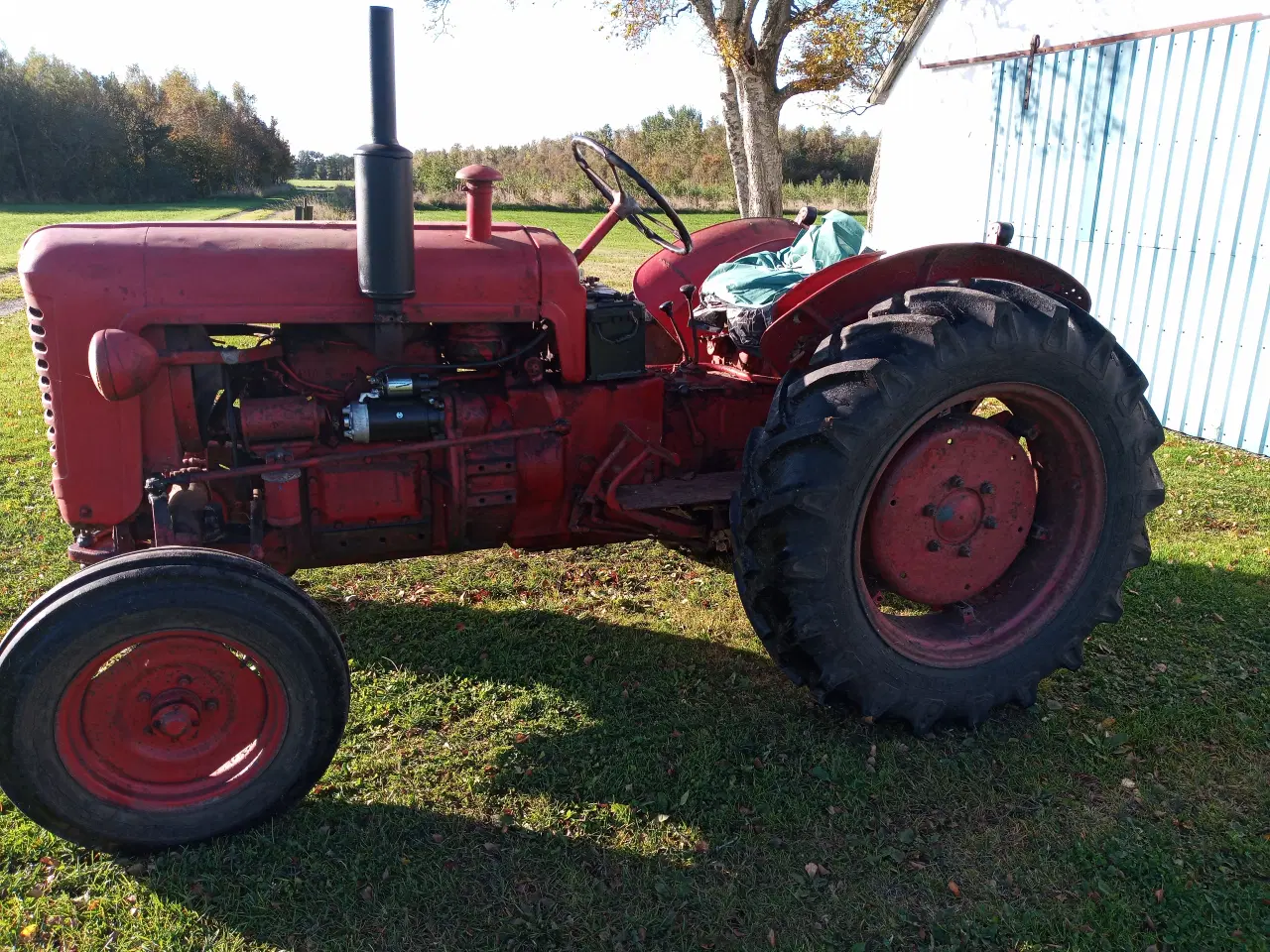 Billede 1 - Bukh 302 traktor