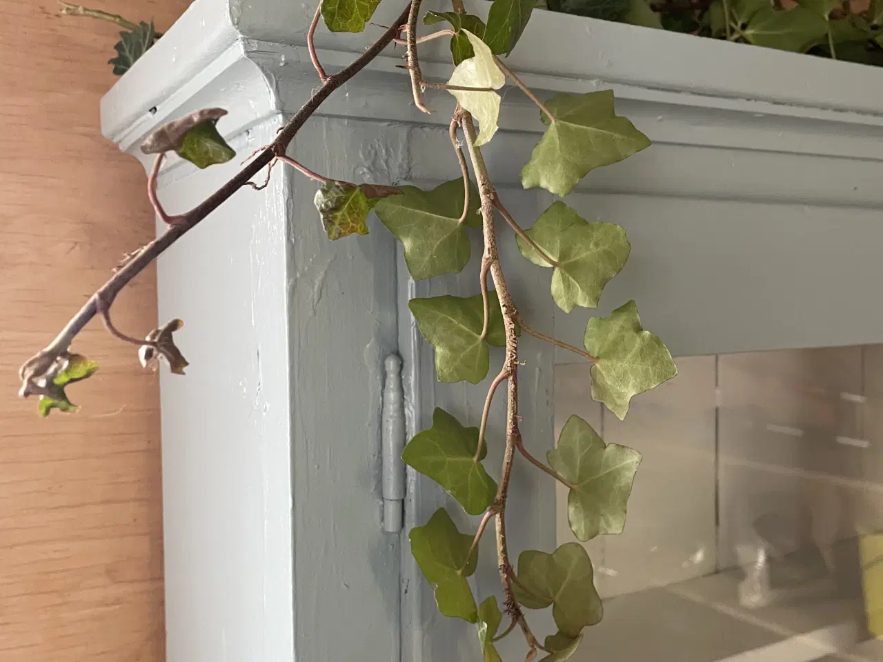 Billede 6 - Gammelt vitrineskab