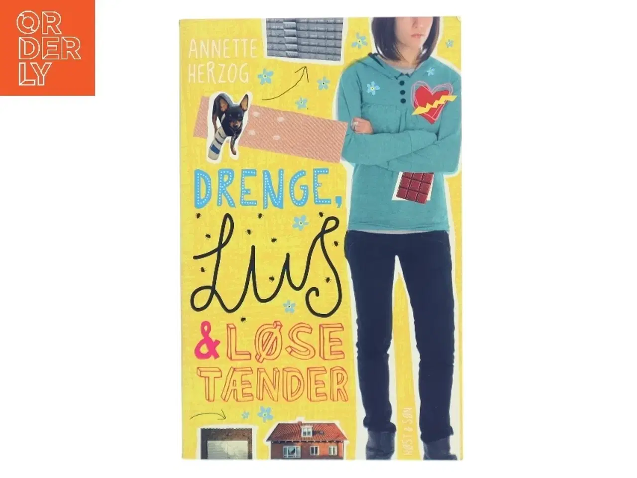 Billede 1 - Drenge, lus & løse tænder af Annette Herzog (Bog)