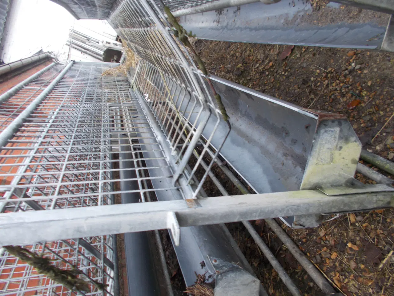 Billede 7 - Fåre Grinder