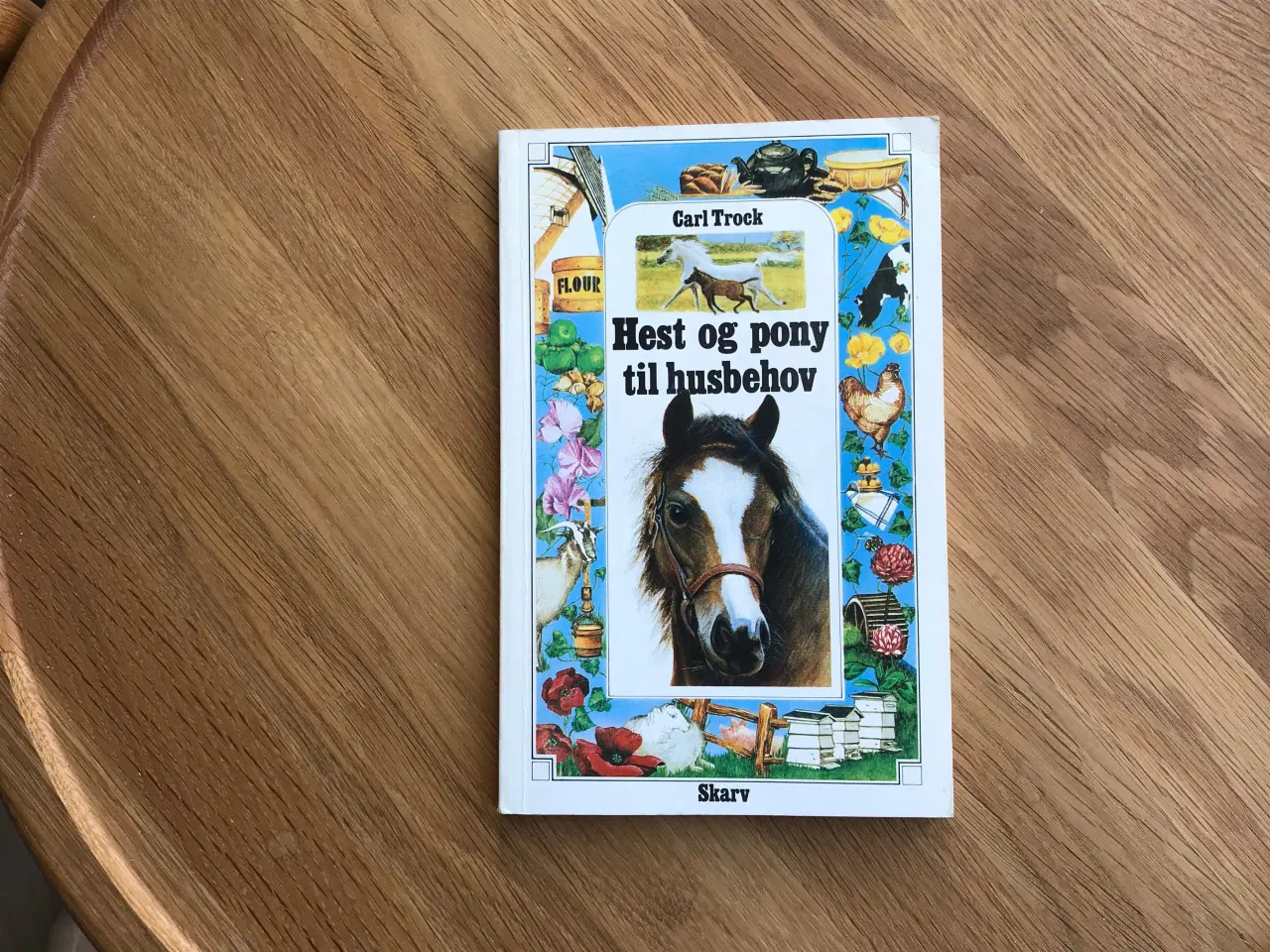 Billede 1 - Hest og pony til husbehov