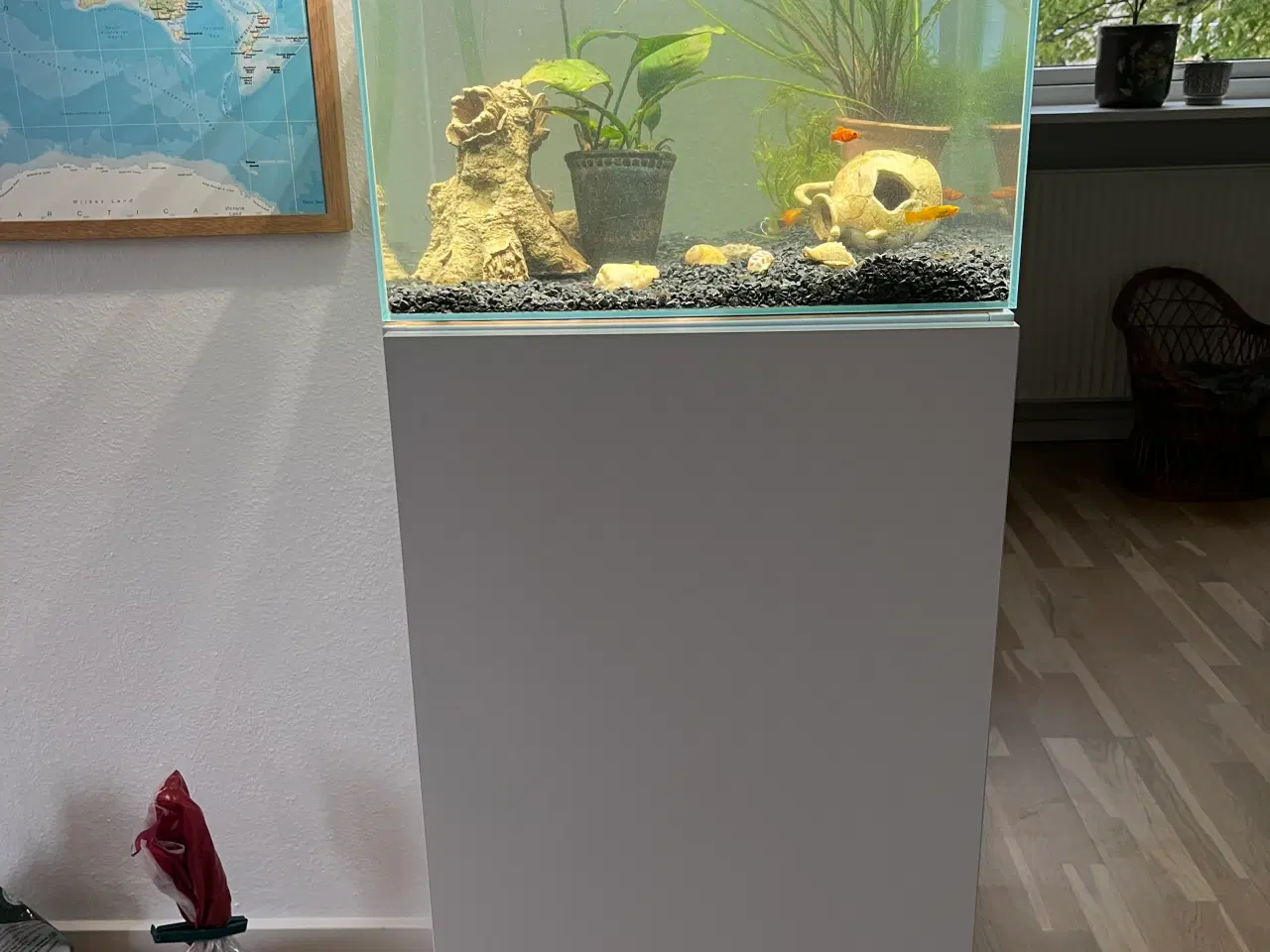 Billede 6 - 60L akvarium med møbel + pumpe 