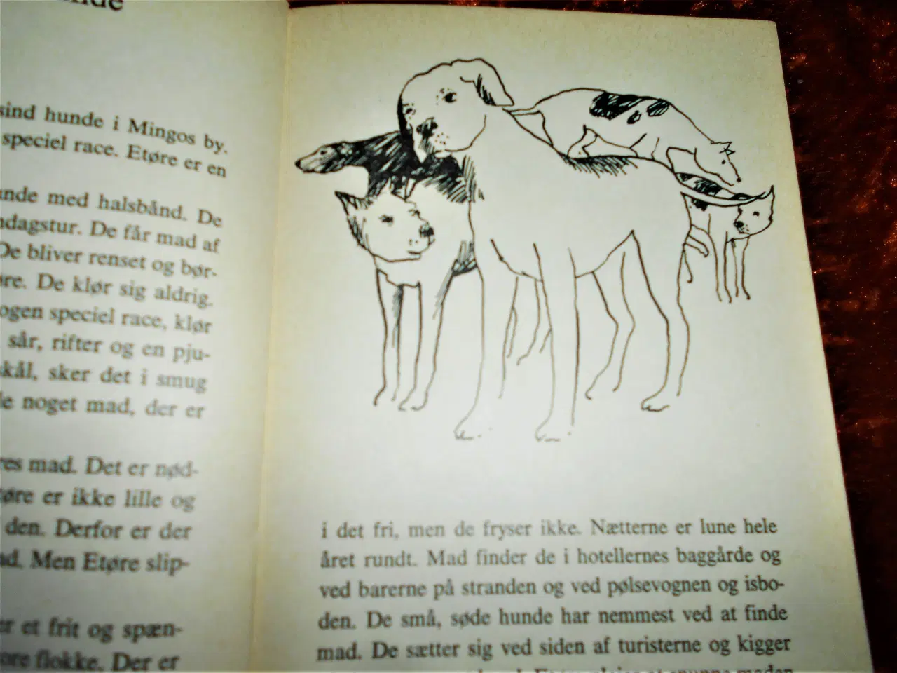 Billede 2 - Hundenes ø, Lasse Ekholm