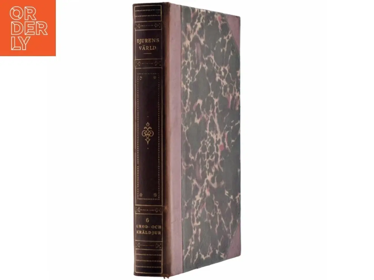 Billede 2 - Djurens värld