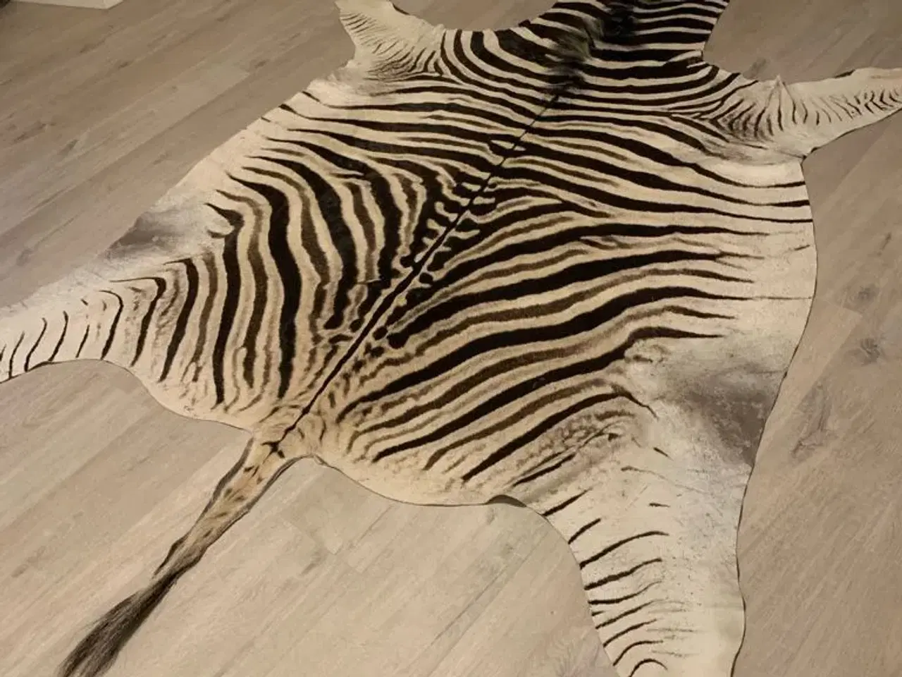 Billede 2 - Ægte zebra tæppe