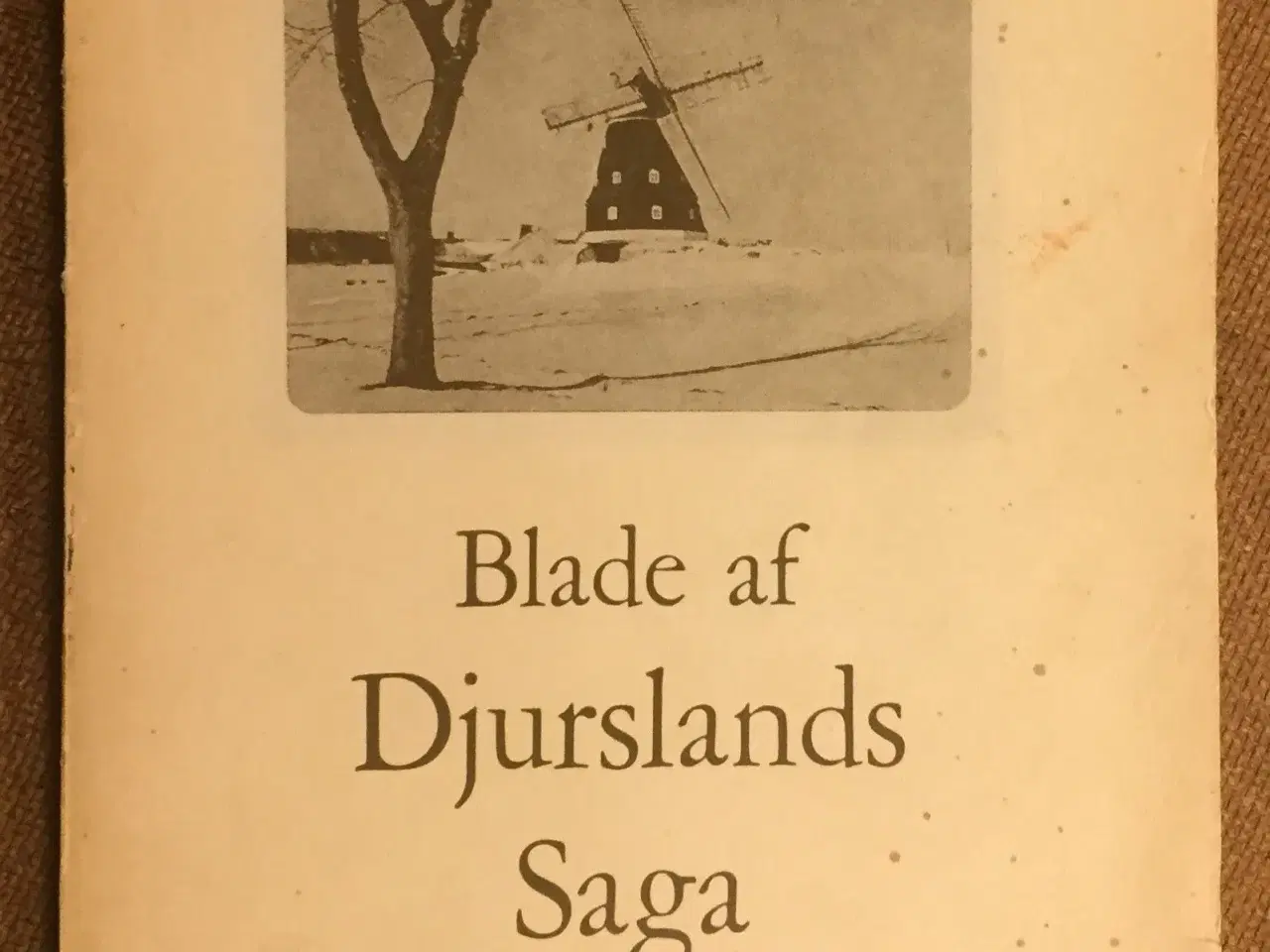 Billede 1 - Blade af Djurslands Saga.