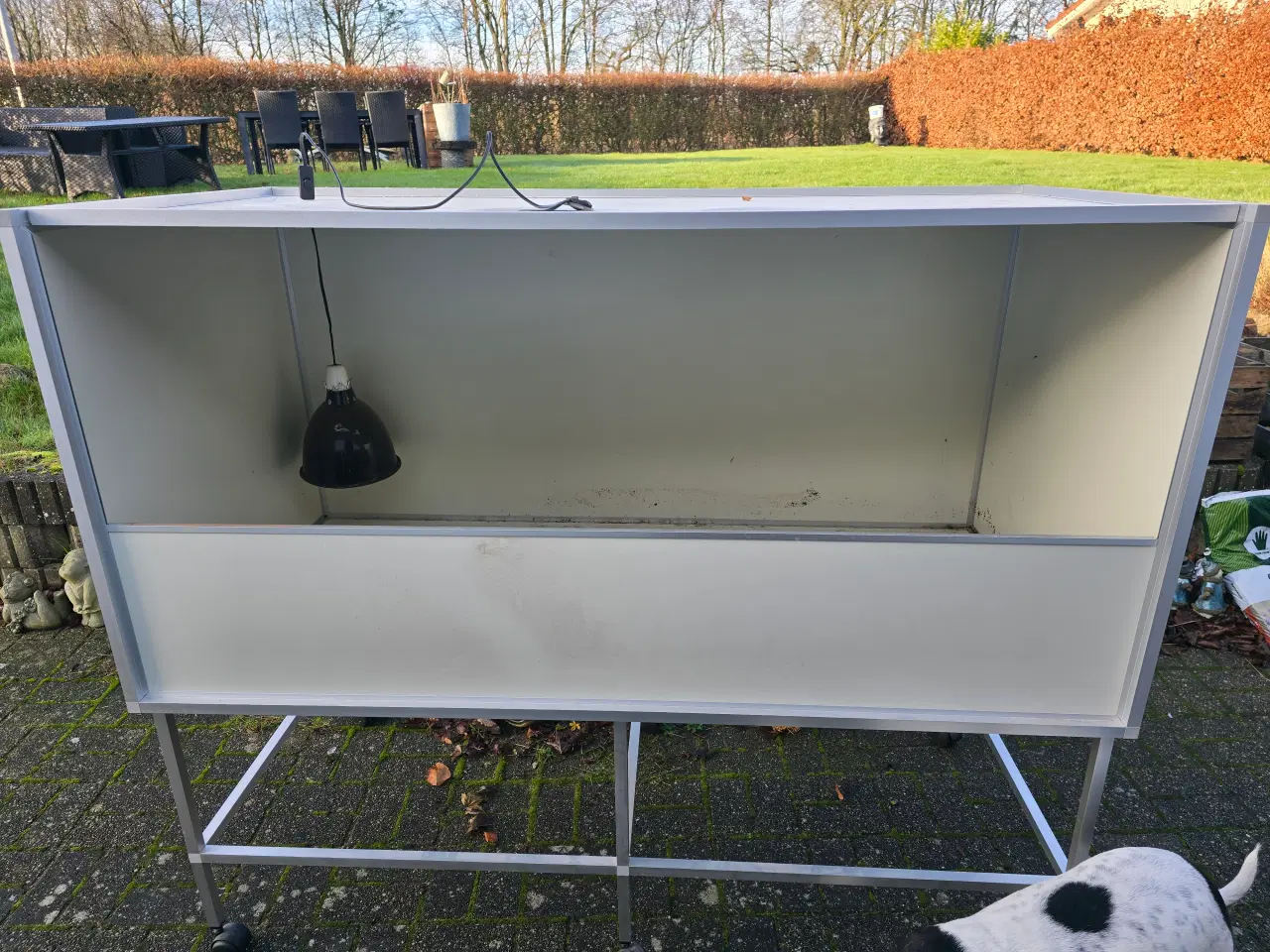 Billede 2 - Todelt terrarie