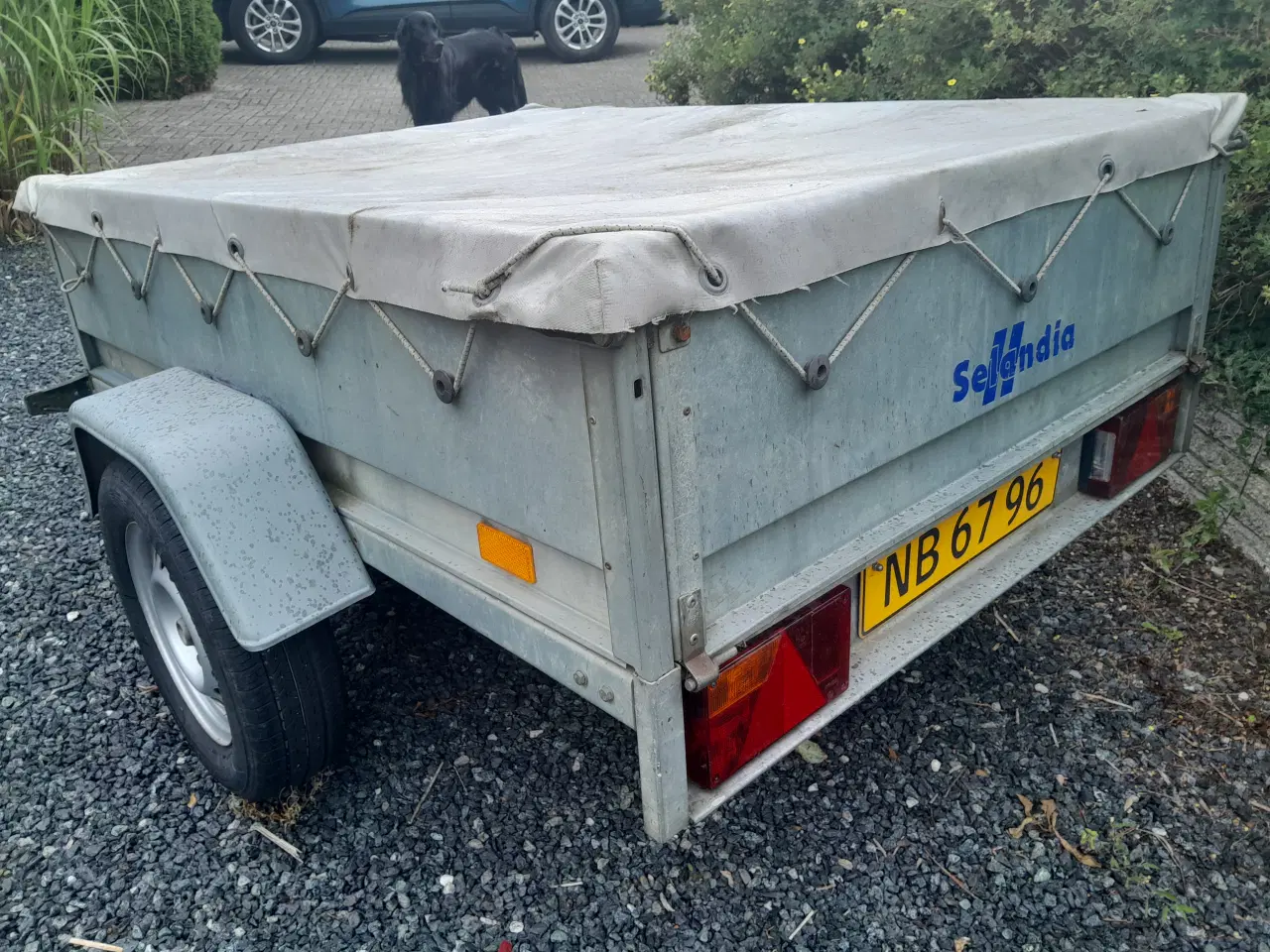 Billede 2 - Selandia F1326 trailer