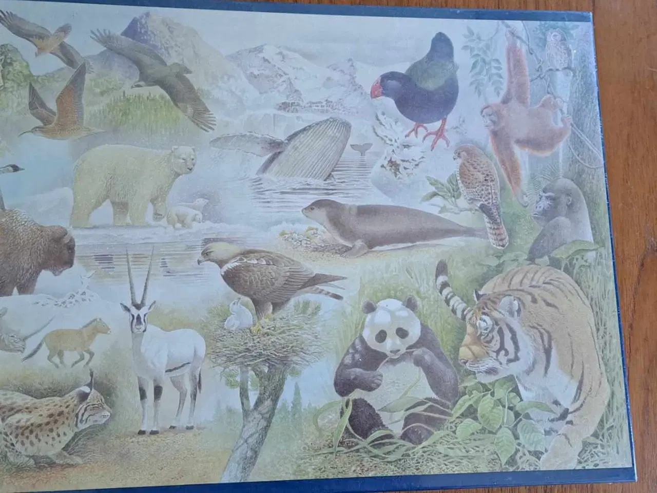 Billede 1 - Puslespil wwf 1500 brikker stadigvæk med folie