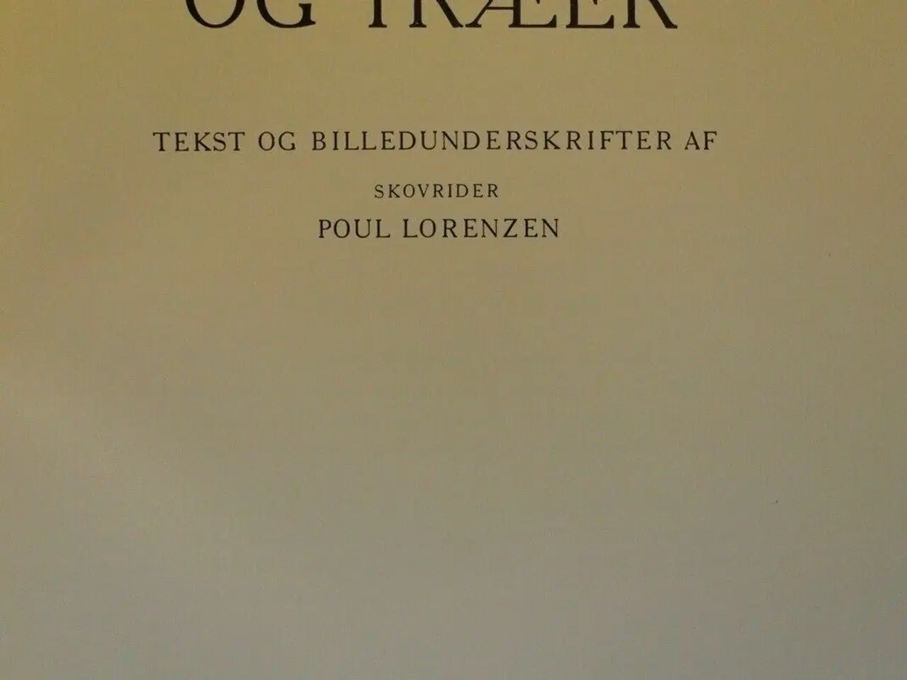 Billede 3 - danske skove og træer, af sigvart werner, emne: na
