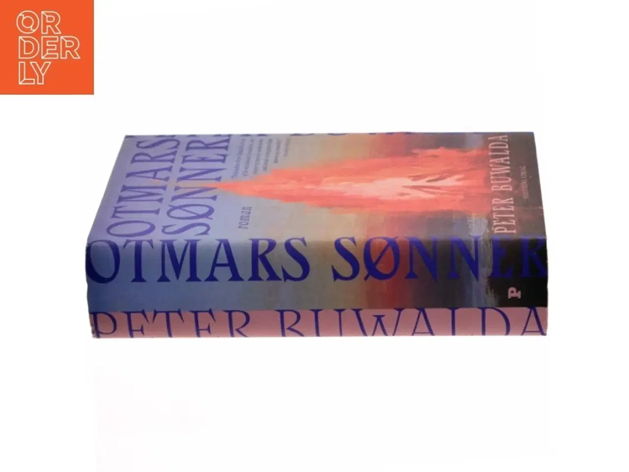 Billede 2 - Otmars sønner af Peter Buwalda (Bog)