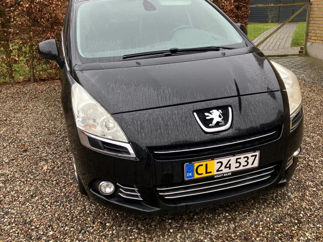 Billede 5 - Peugeot 5008
