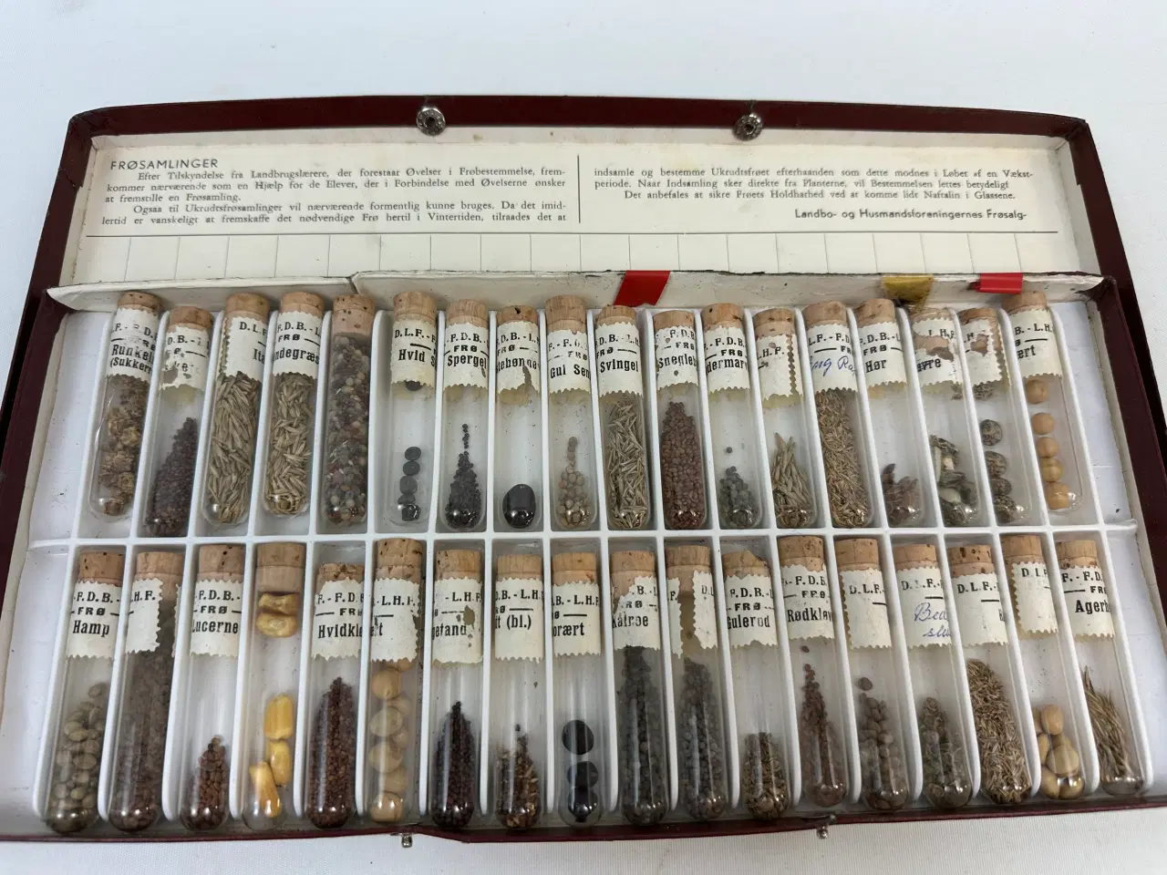 Billede 5 - Ældre frøsamling i 36 cylindere 