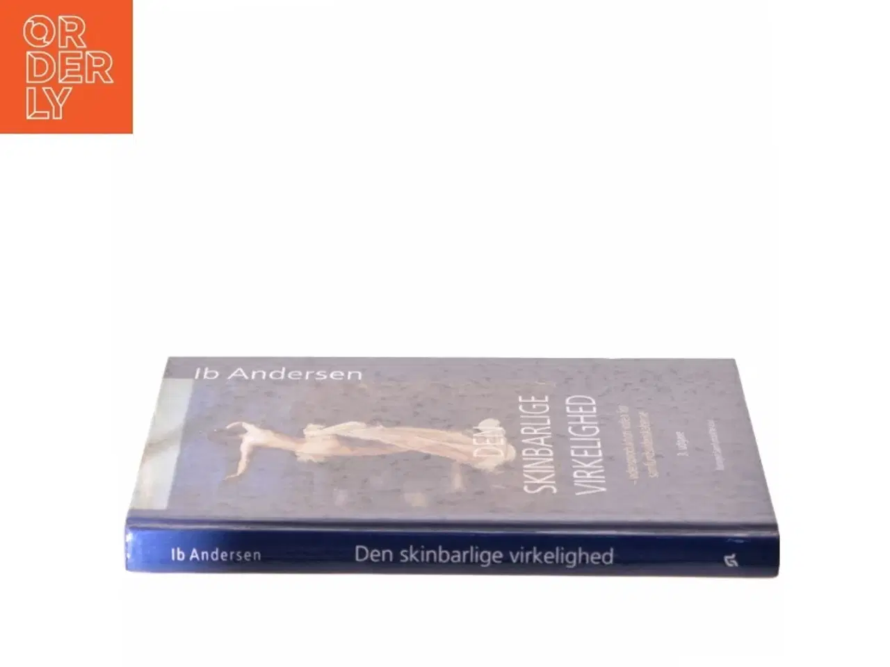 Billede 2 - Den skinbarlige virkelighed af Ib Andersen (f. 1943) (Bog)